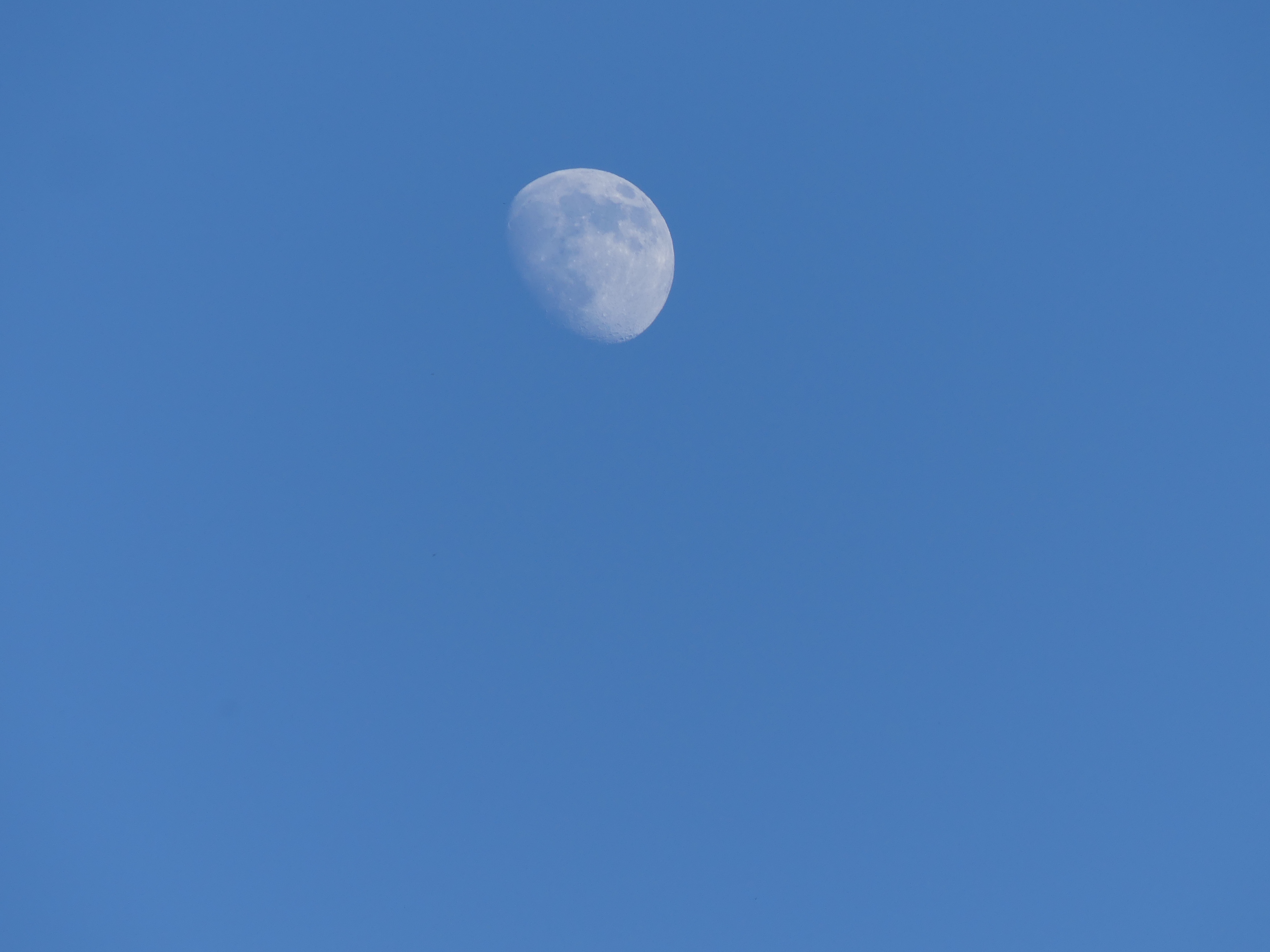 Månebilledet taget med fuld zoom med Panasonic Lumix FZ300. Foto: Sally Megyessi, www.sallymeg.dk.