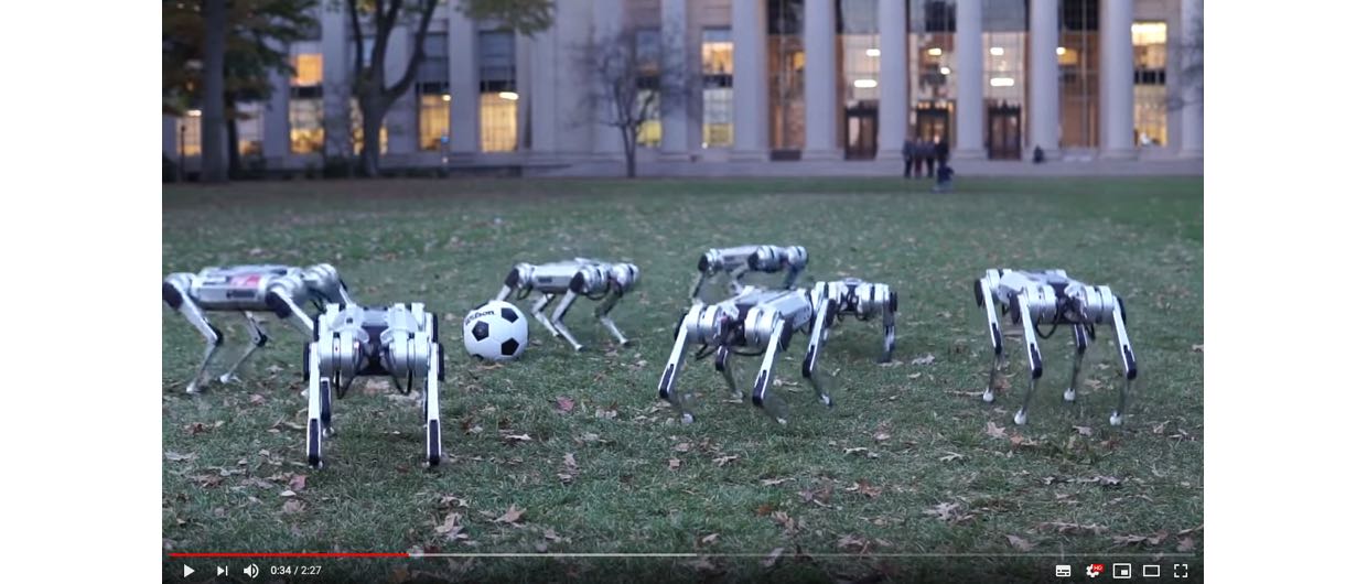 MIT-robotter leger i flok og spiller fodbold sammen